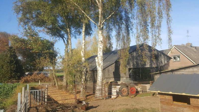 renovatie varkensschuur