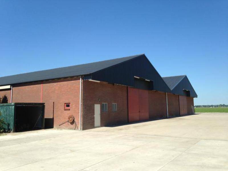 nieuwe golfplaten op dak