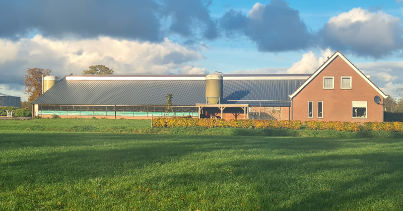 Ontwerp zonder titel 6