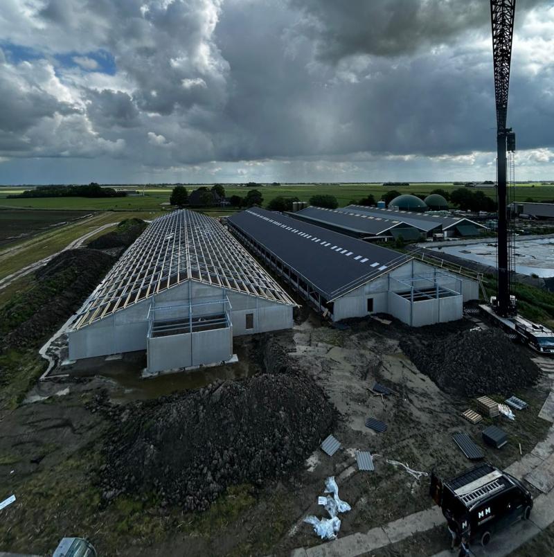 Pluimvee uitbreiding