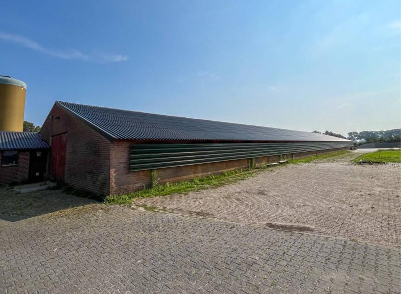 Renovatie pluimveestal