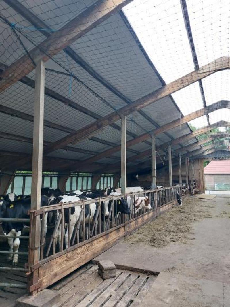 Whatsapp image 2023 06 30 at 16 48 48 3